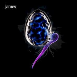 The Night Before by James album cover